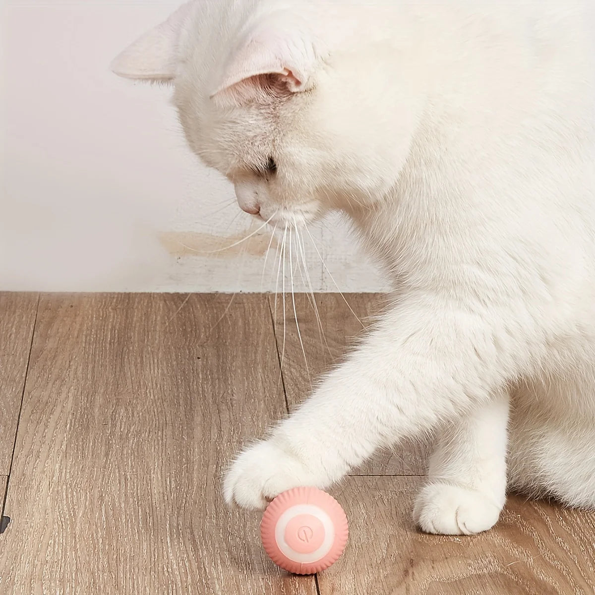 Smart Cat Toys - automatische Bewegung