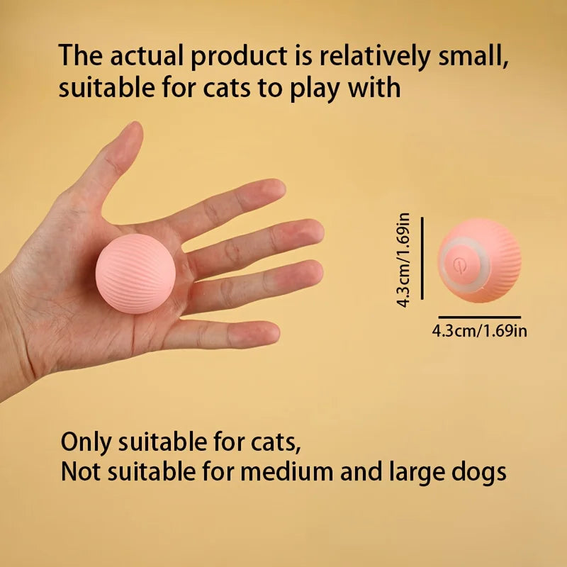 Smart Cat Toys - automatische Bewegung