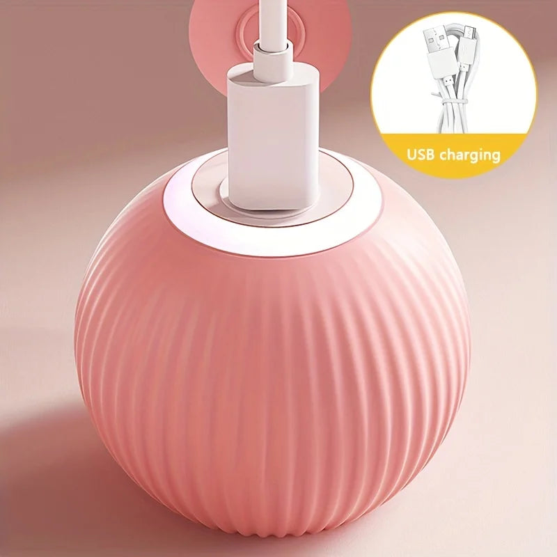 Smart Cat Toys - automatische Bewegung